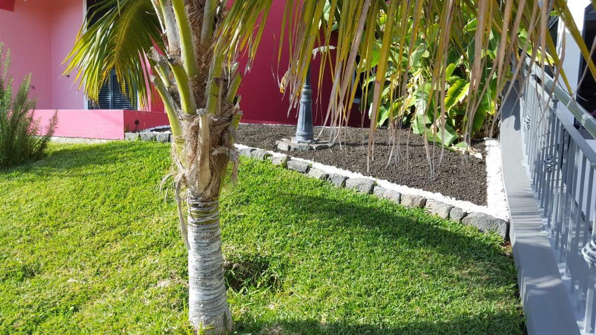 Ferienwohnung Pink House Ponta do Sol  Exterior foto